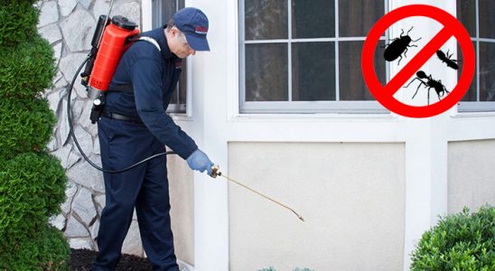 Hatundere Kemirgen İlaçlama böcek ilaçlama ve haşere kontrolü — ilaclama-tr.com